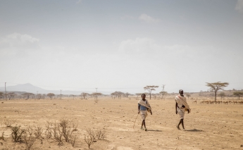 Horn of Africa drought puts 15 million in severe danger